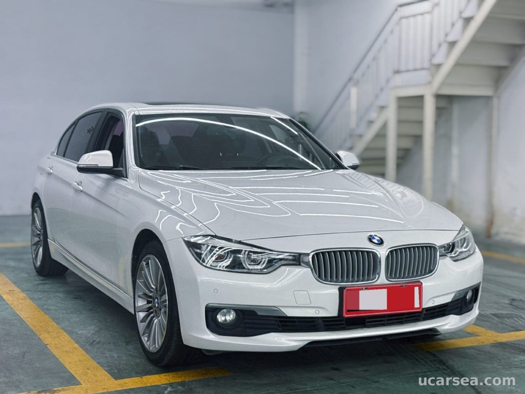 BMW 3 Series 2019 320Li photo 6