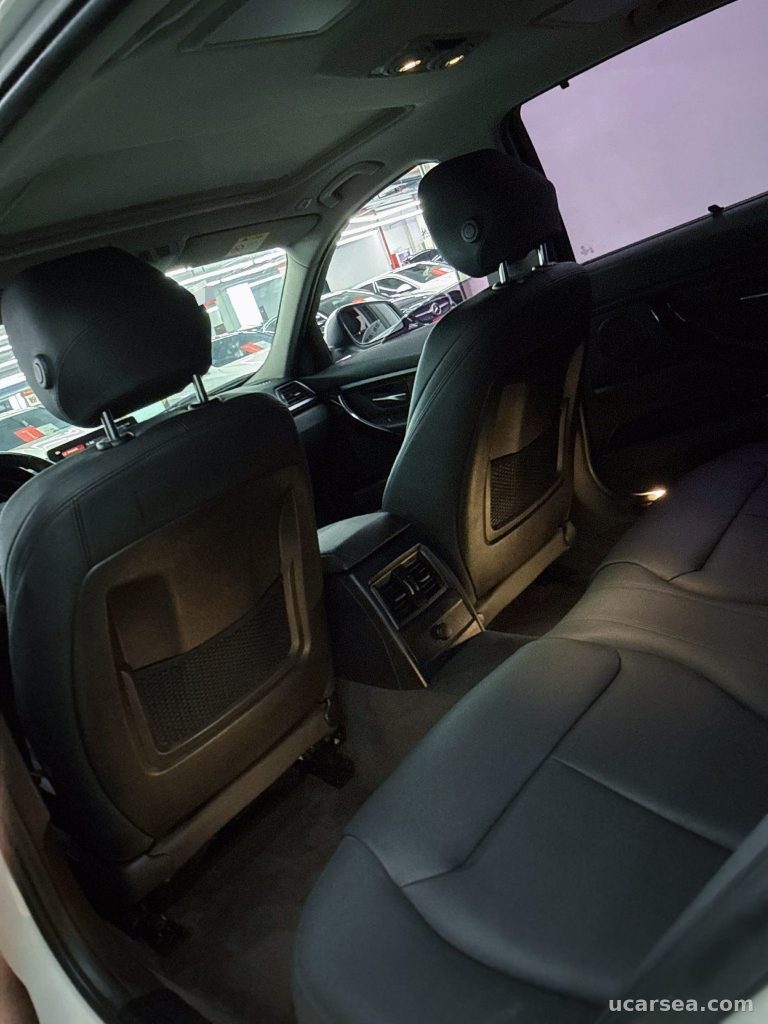 BMW 3 Series 2019 320Li photo 7