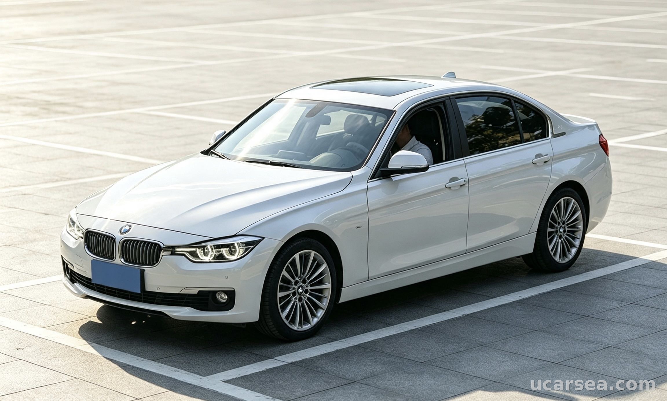 2019 BMW 3 Series 2019 320Li