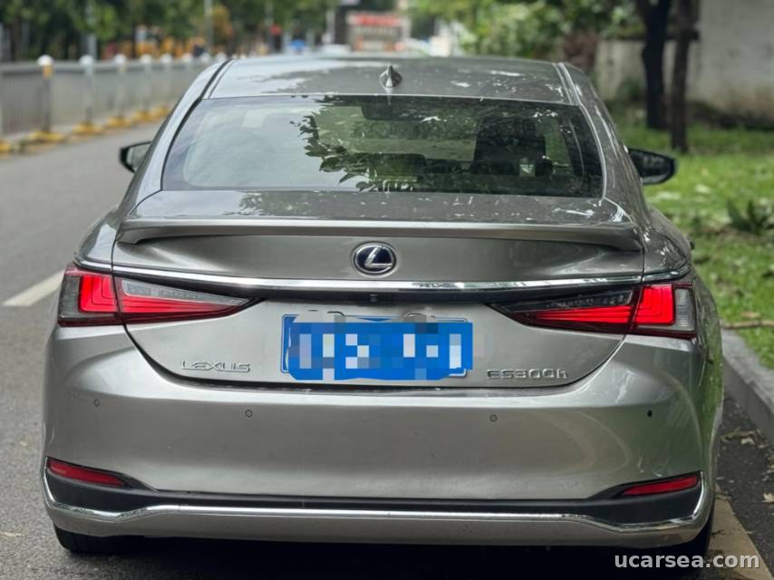 Lexus ES 2018 ES300h photo 6