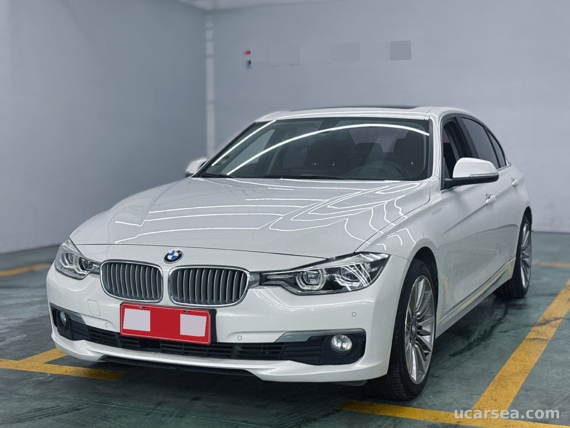 2019 BMW 3 Series 2019 320Li