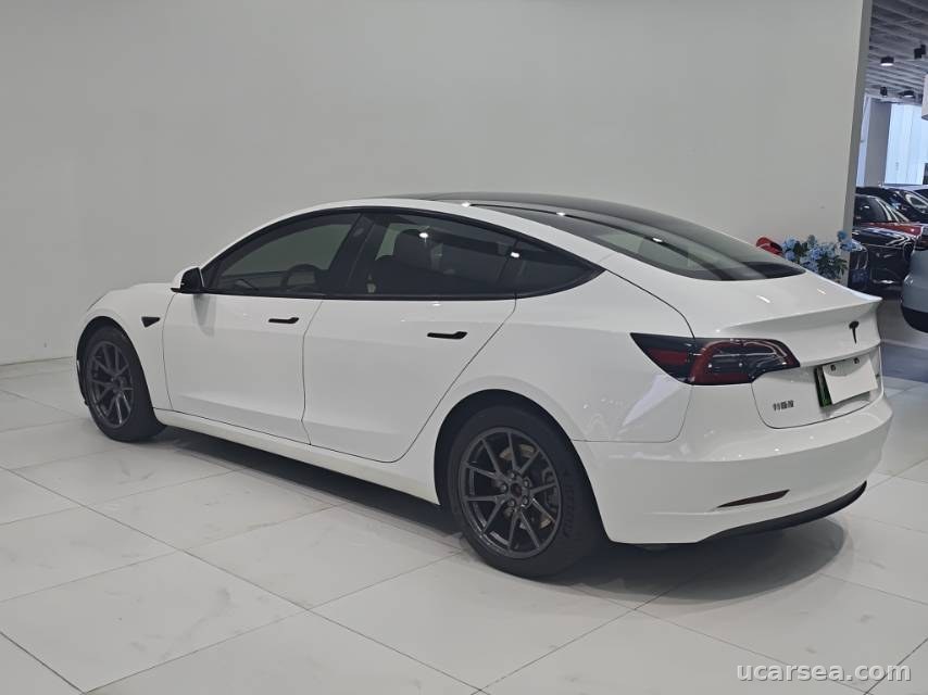 Tesla Model 3 2021 photo 3