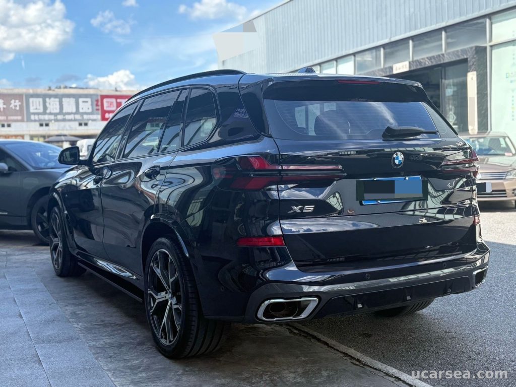 BMW X5 2025 xDrive30Li 48V M photo 9