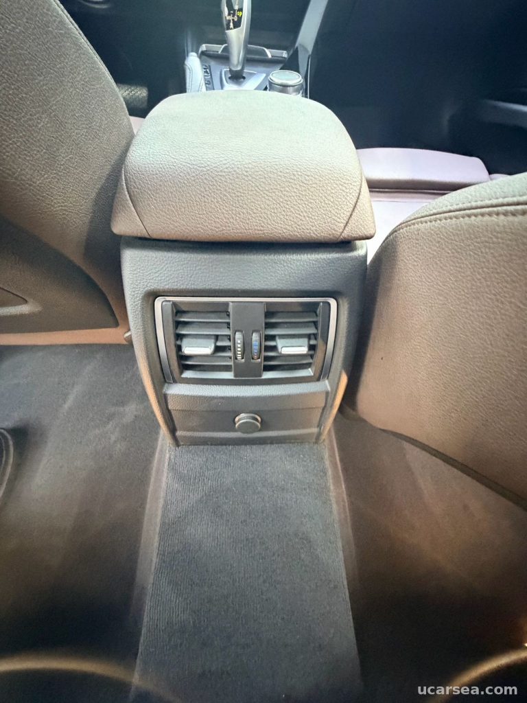 BMW 3 Series 2019 320Li photo 5