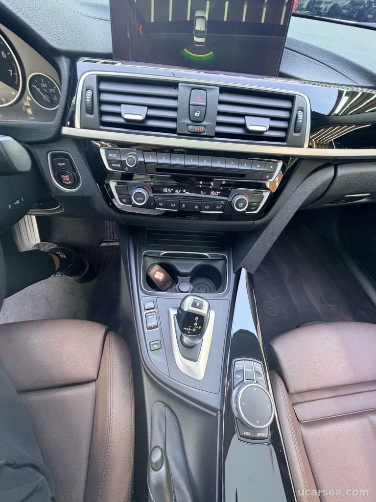 BMW 3 Series 2019 320Li photo 2